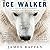 Ice Walker: A Polar Bear's Journey through the Fragile Arctic