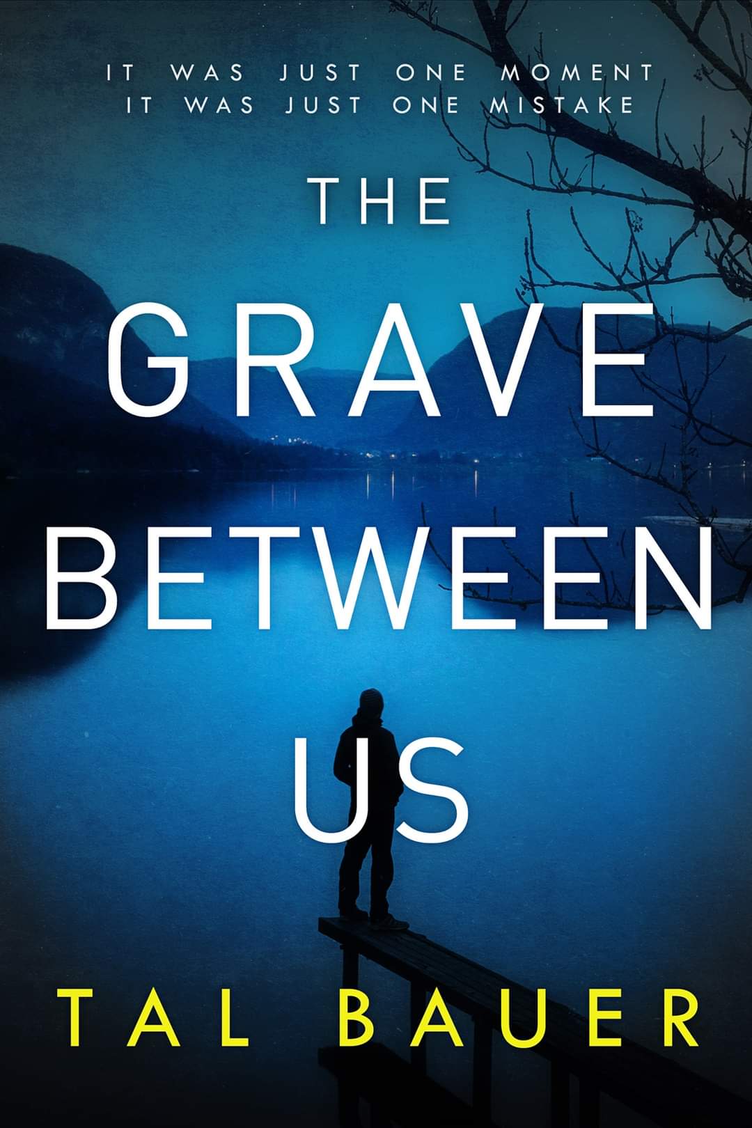 The Grave Between Us (A Noah & Cole Thriller, #2)
