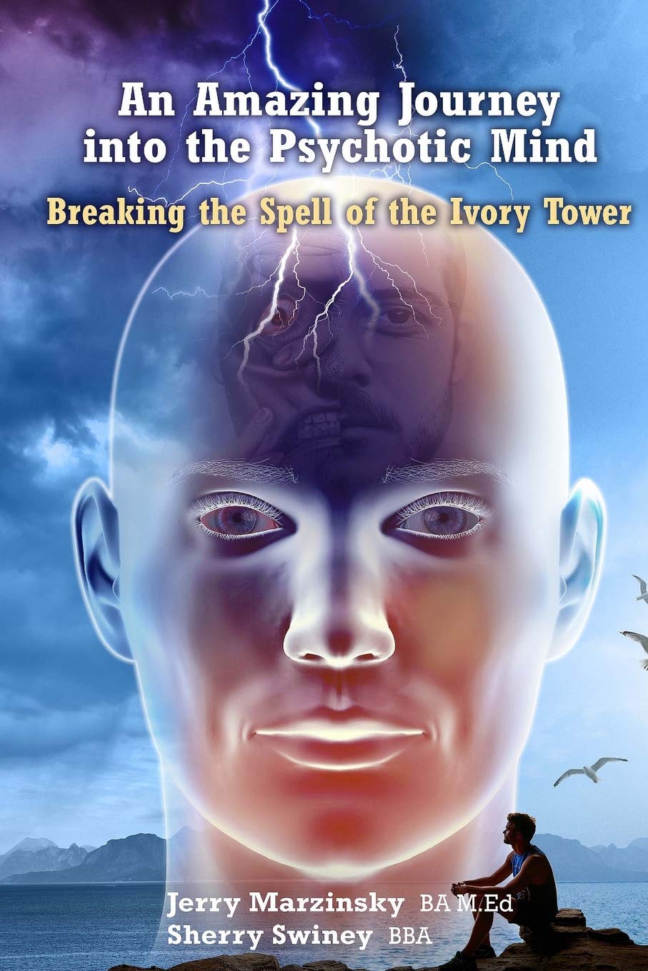 An Amazing Journey Into the Psychotic Mind - Breaking the Spell of the Ivory Tower (Paperback)