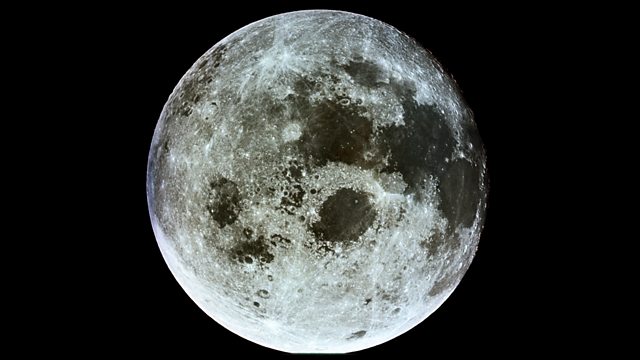 The Cycle (Lunar Effect #1)