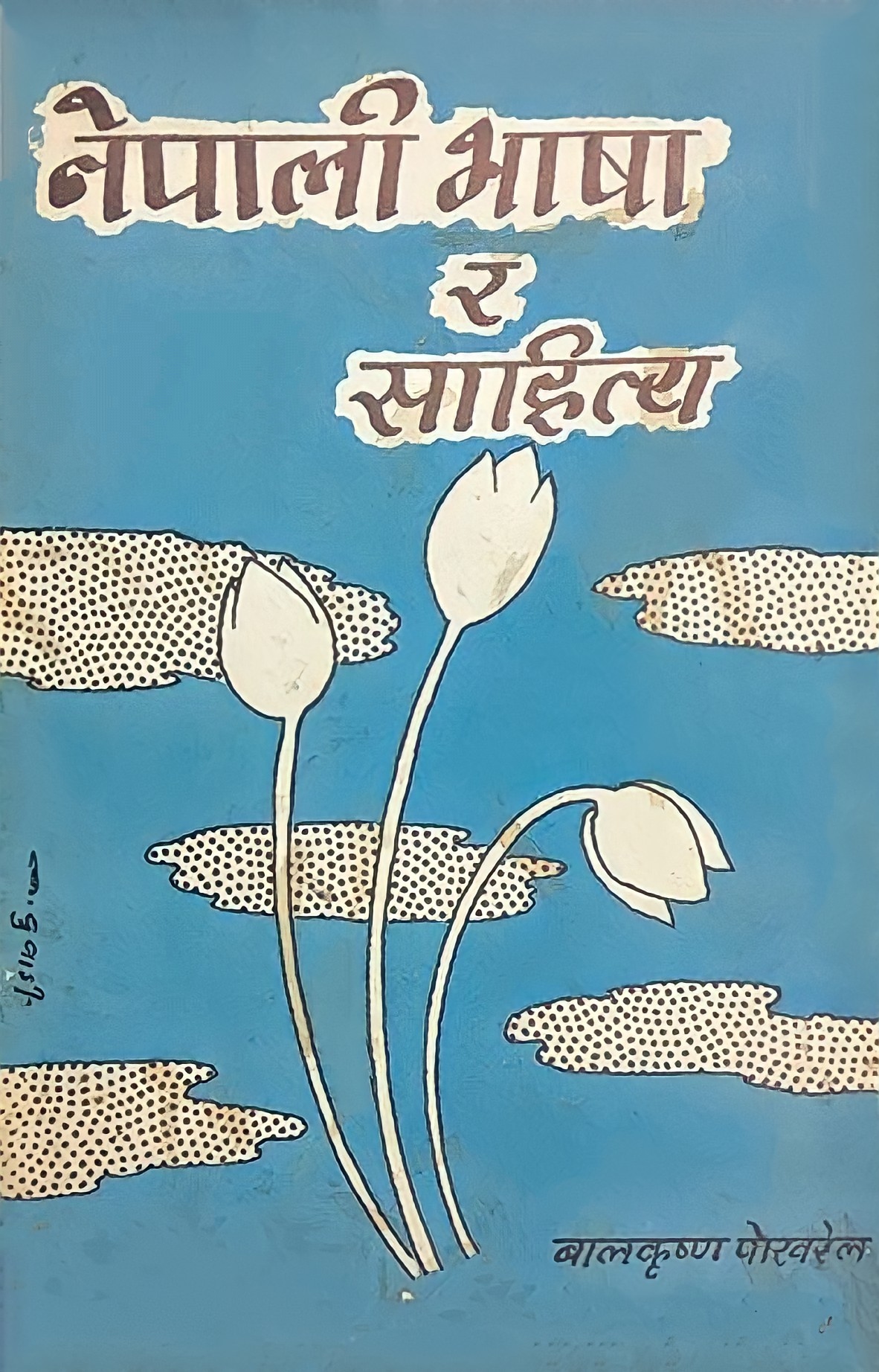 नेपाली भाषा र साहित्य [Nepali Bhasha ra Sahitya]