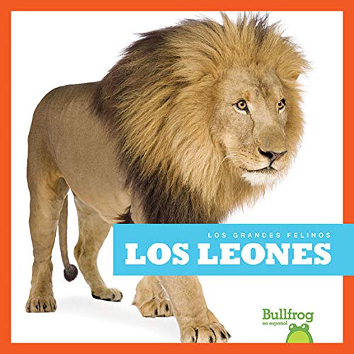 Los leones (Lions) (Bullfrog Books Spanish Edition) (Los Grandes Felinos/ Big Cats)