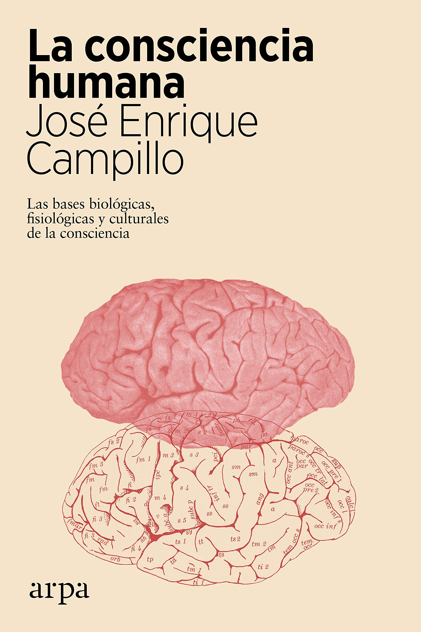 La consciencia humana: Las bases biológicas, fisiológicas y culturales de la consciencia (Paperback)