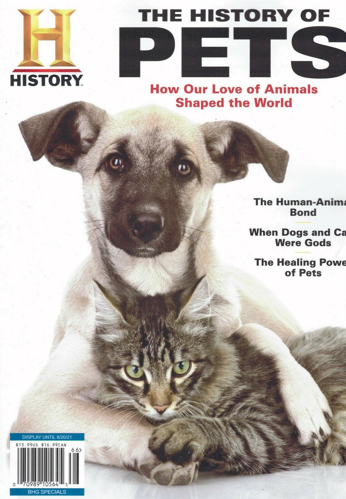 The History of Pets: How Our Love of Animals Shaped the World