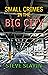 Small Crimes in the Big City
