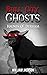 Bull City Ghosts: Haunts of...