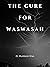 The Cure For Waswasah by Dr. Muddassir Khan The Cure For Waswasah by Dr. Muddassir Khan