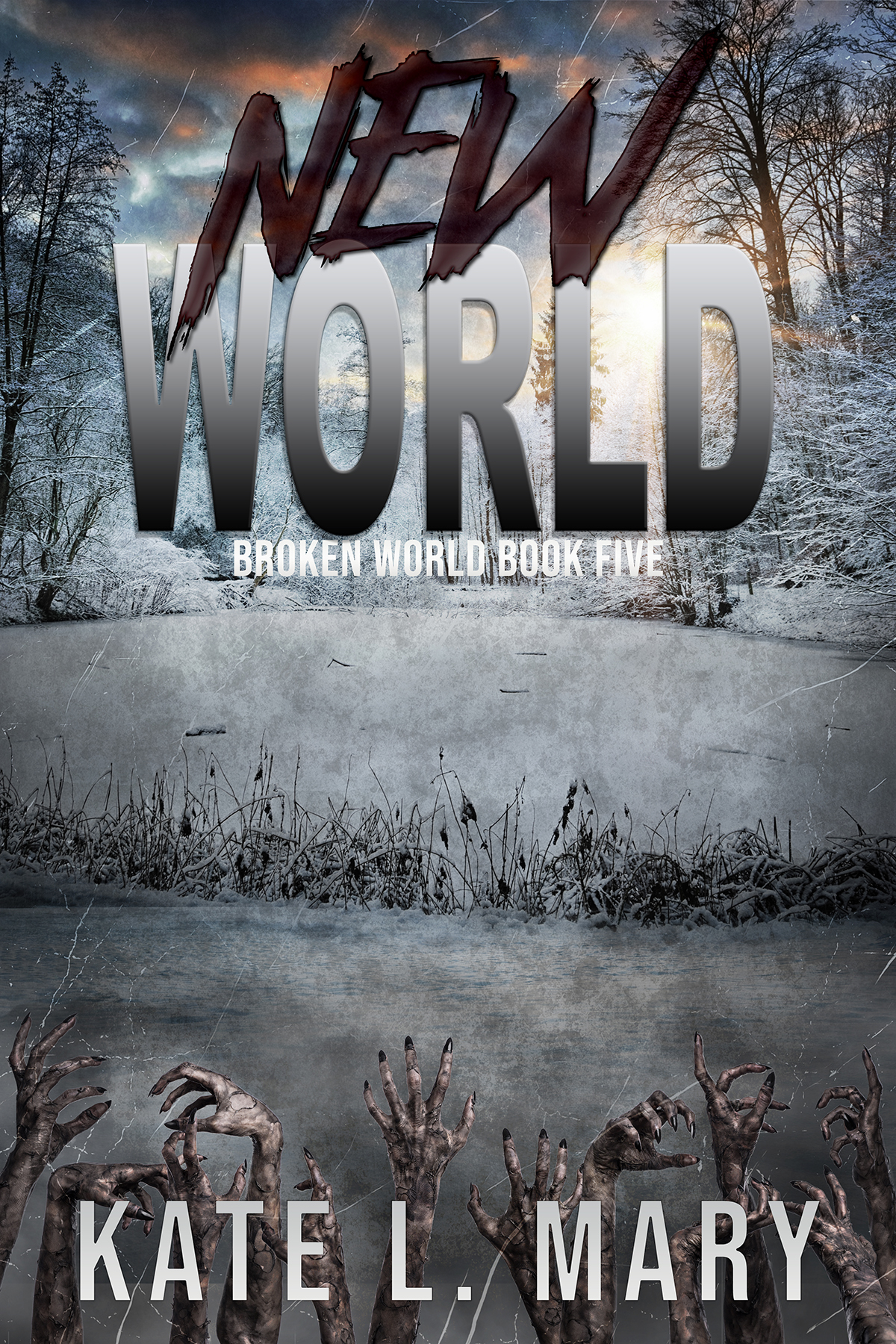 New World (Broken World, #5)