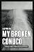 My Broken Conuco: THE UNTOLD STORIES FROM VENEZUELAN PEOPLE
