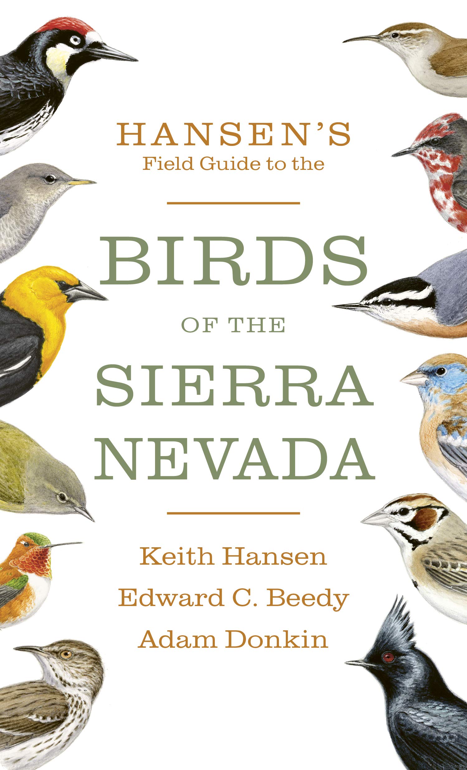 Hansen's Field Guide to the Birds of the Sierra Nevada (Paperback)
