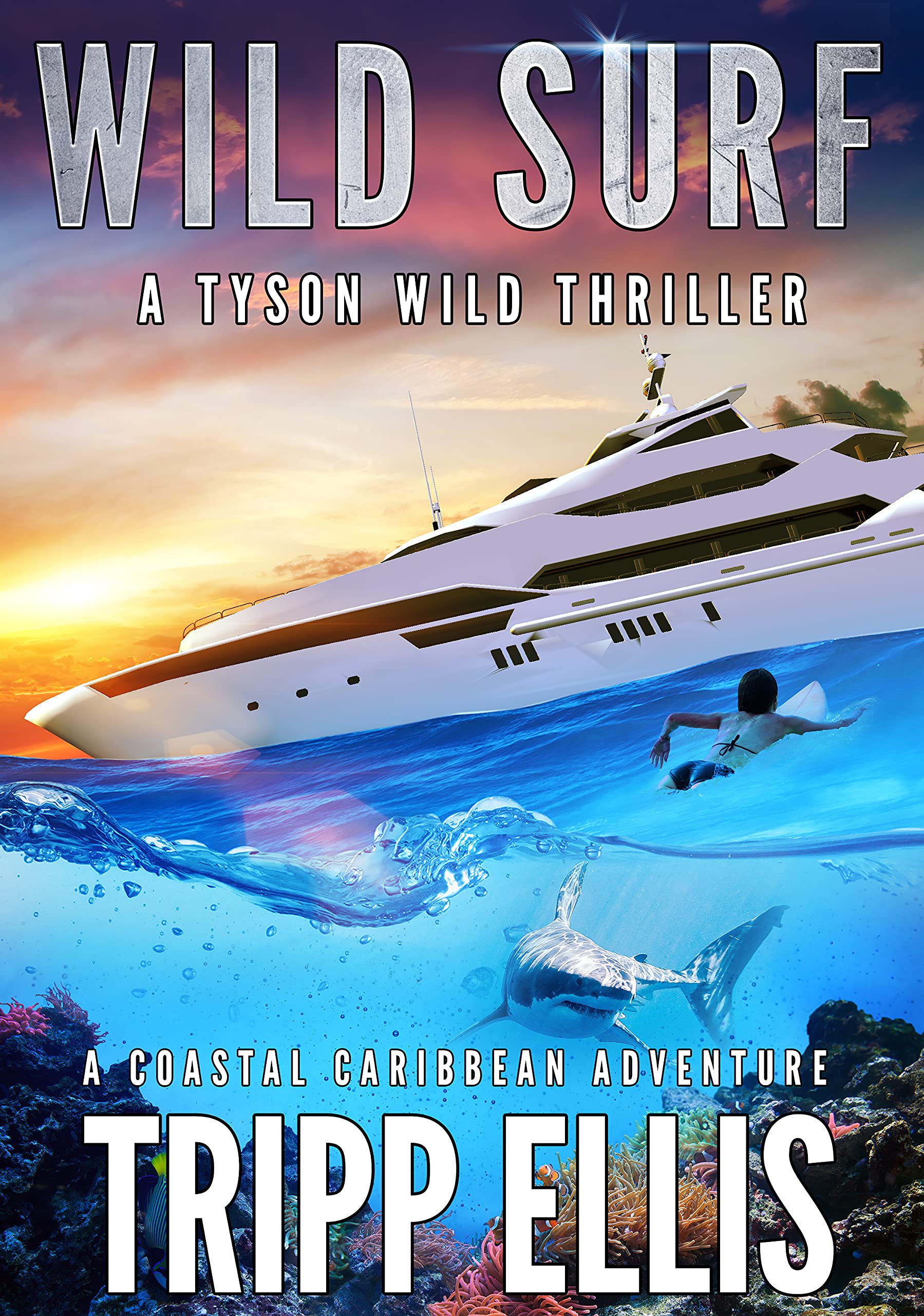 Wild Surf (Tyson Wild Thriller, #30)