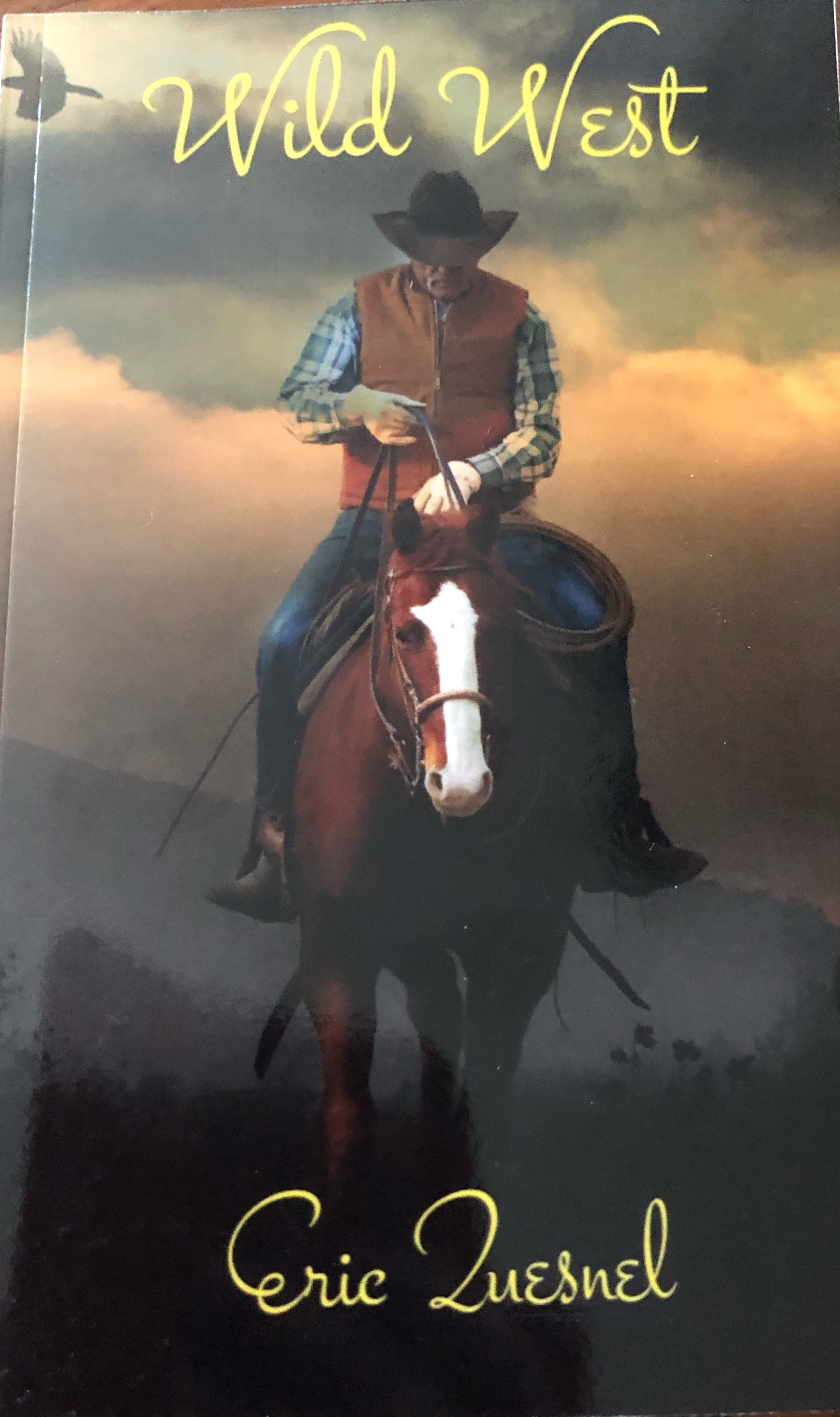 Wild West (Paperback)