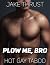 Plow Me, Bro: Hot Gay Taboo