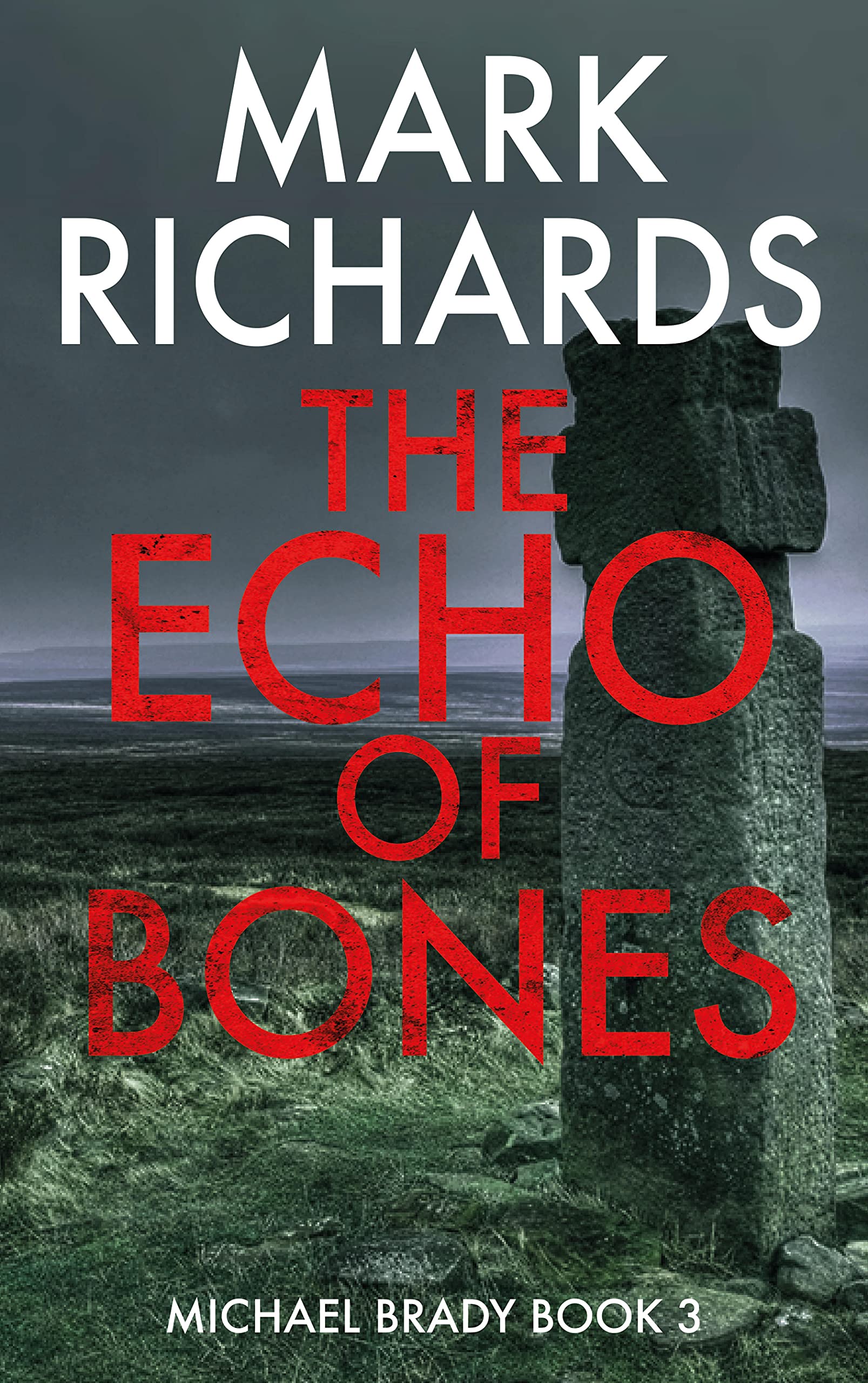 The Echo of Bones (Michael Brady #3)