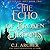 The Echo of Broken Dreams (After The Rift #2)