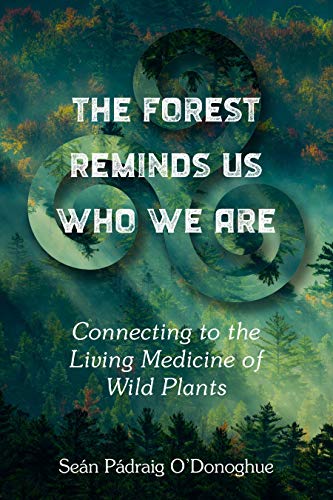 The Forest Reminds Us Who We Are: Connecting to the Living Medicine of Wild Plants (Paperback)