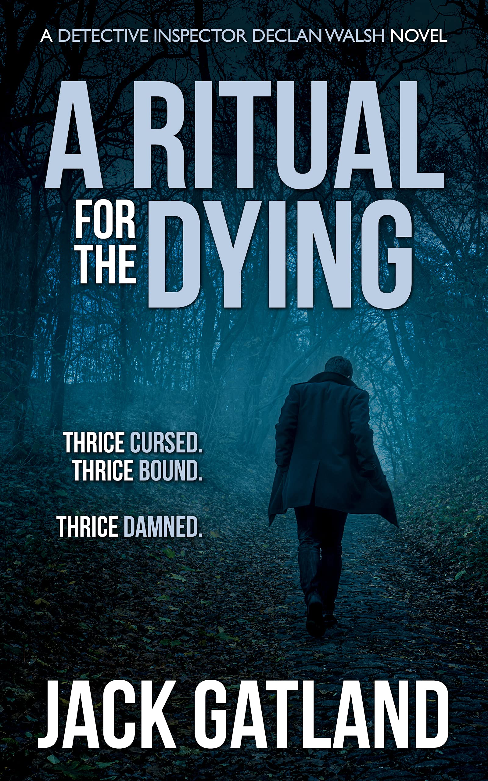 A Ritual For the Dying (Detective Inspector Declan Walsh #6)
