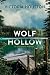 Wolf Hollow (Lew Ferris #1)