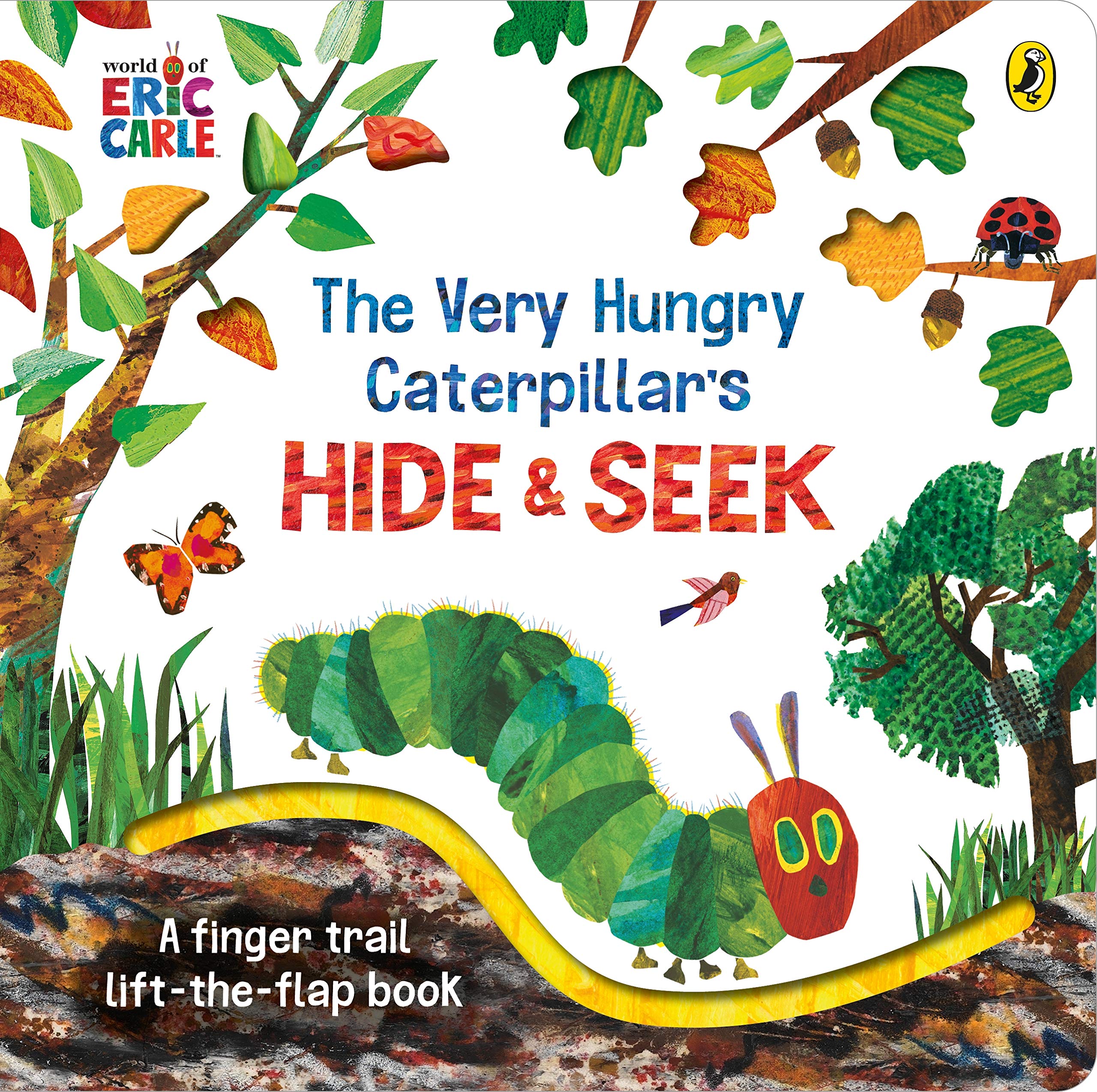 Hide & Seek (Board Book)