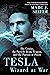 Tesla: Wizard at War: The G...