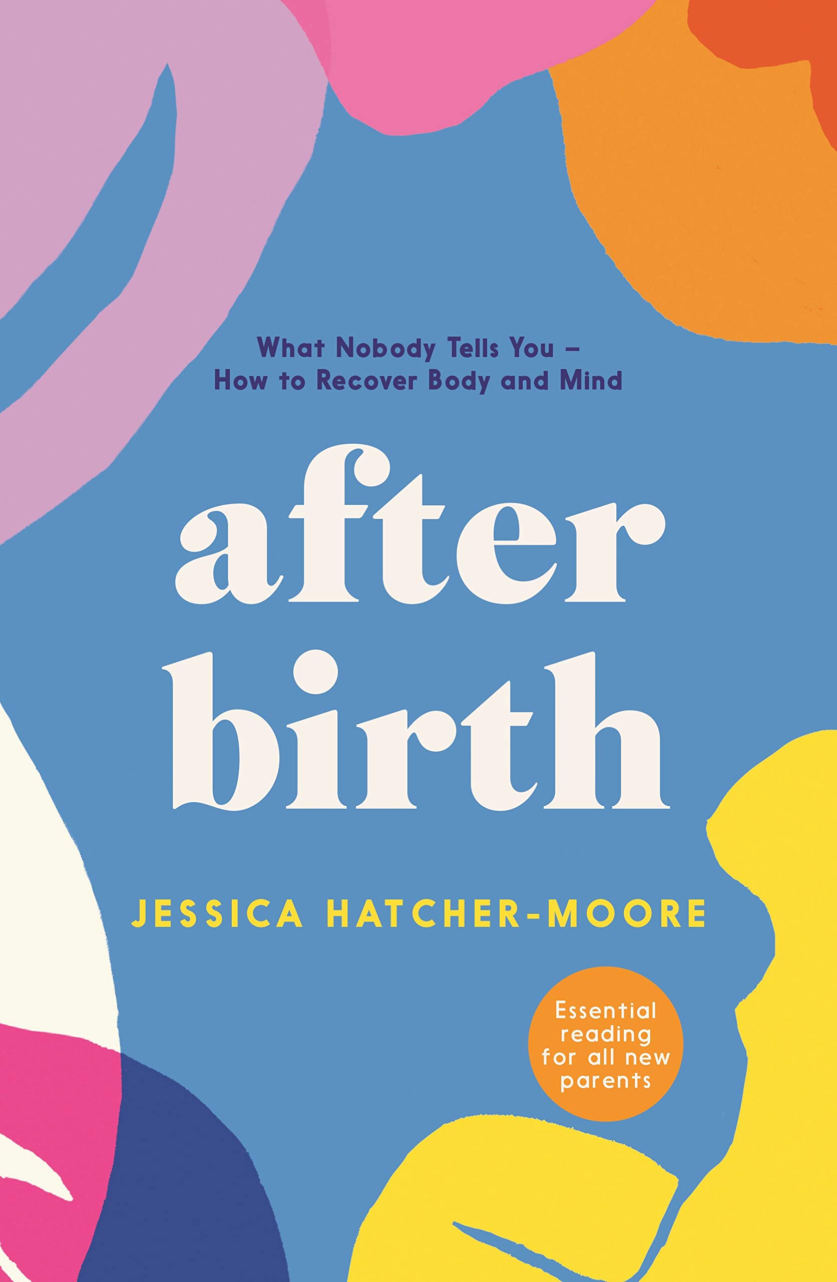 After Birth: What Nobody Tells You - How to Recover Body and Mind (Paperback)