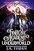 Fortune Academy Underworld: Book Eight (Fortune Academy #8)