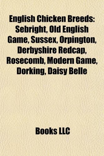 English Chicken Breeds: Sebright, Old English Game, Sussex, Orpington, Derbyshire Redcap, Rosecomb, Modern Game, Dorking, Daisy Belle