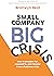 Small Company Big Crisis: H...