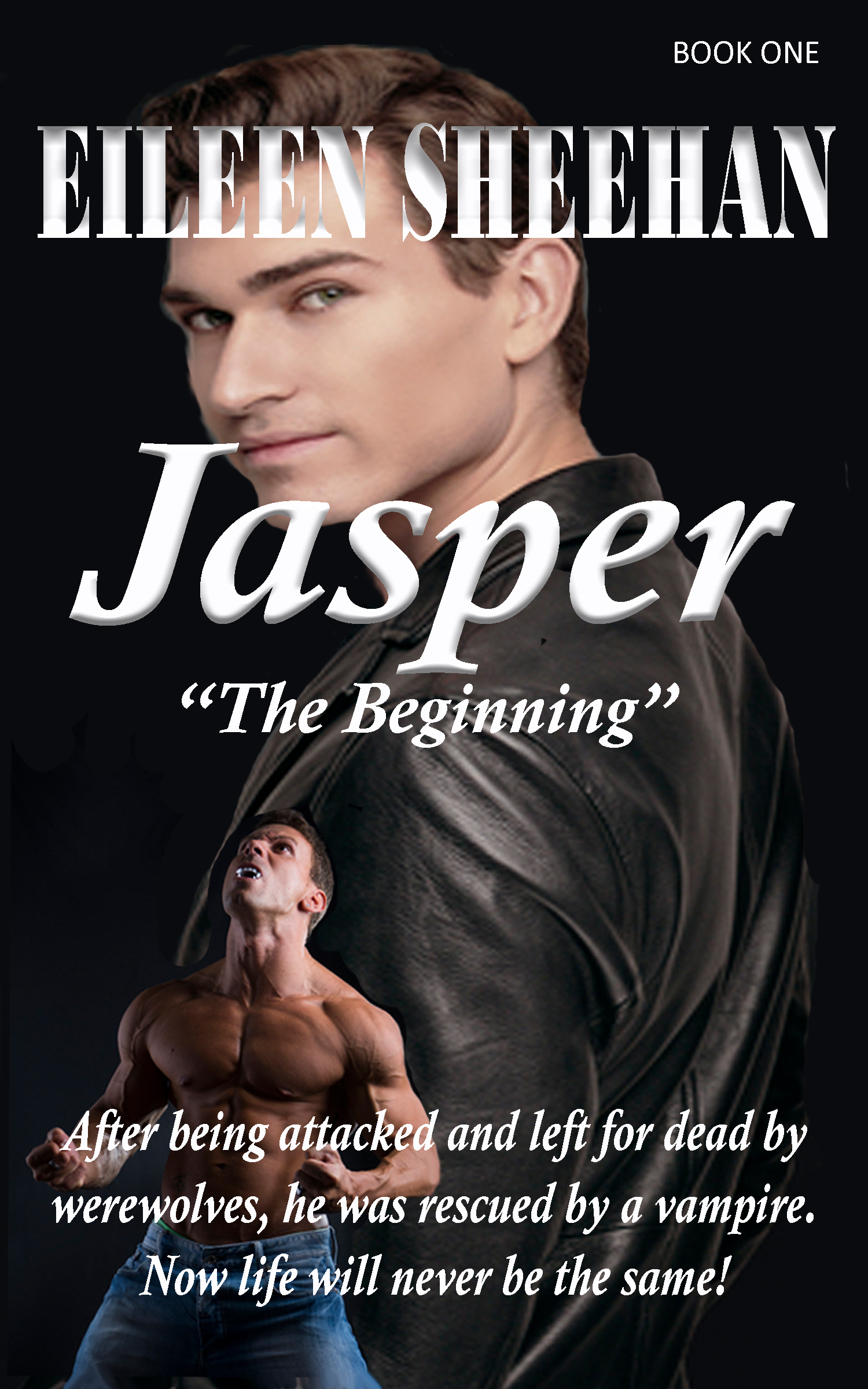 Jasper; The Beginning (ebook)