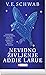Nevidno življenje Addie LaRue by V.E. Schwab