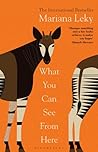 What You Can See from Here by Mariana Leky