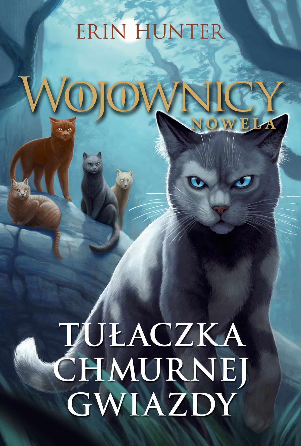 Tułaczka Chmurnej Gwiazdy (Wojownicy: Nowela)