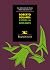 Roberto Bolaño: Estrella distante