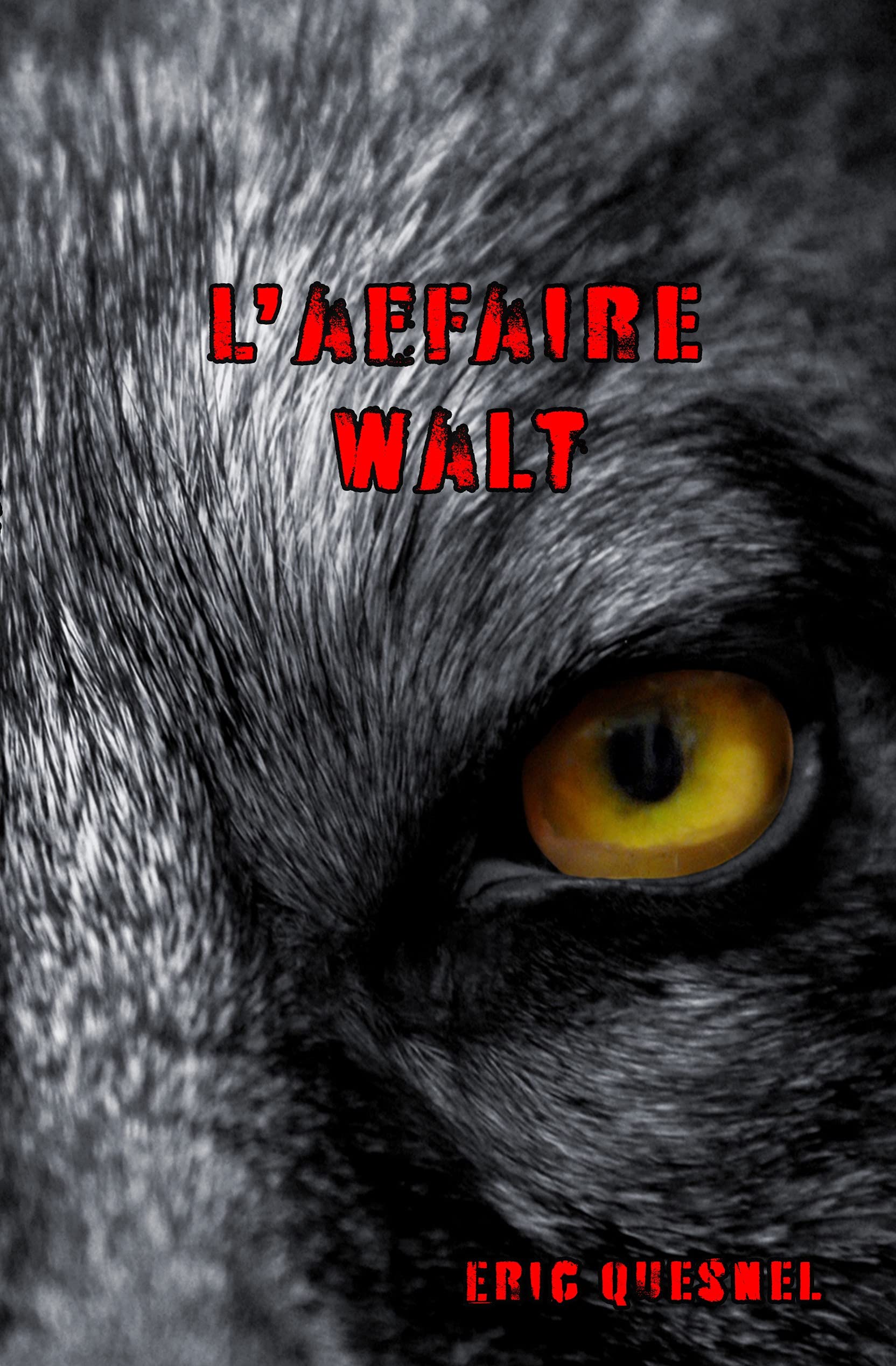 L'affaire Walt (Kindle Edition)