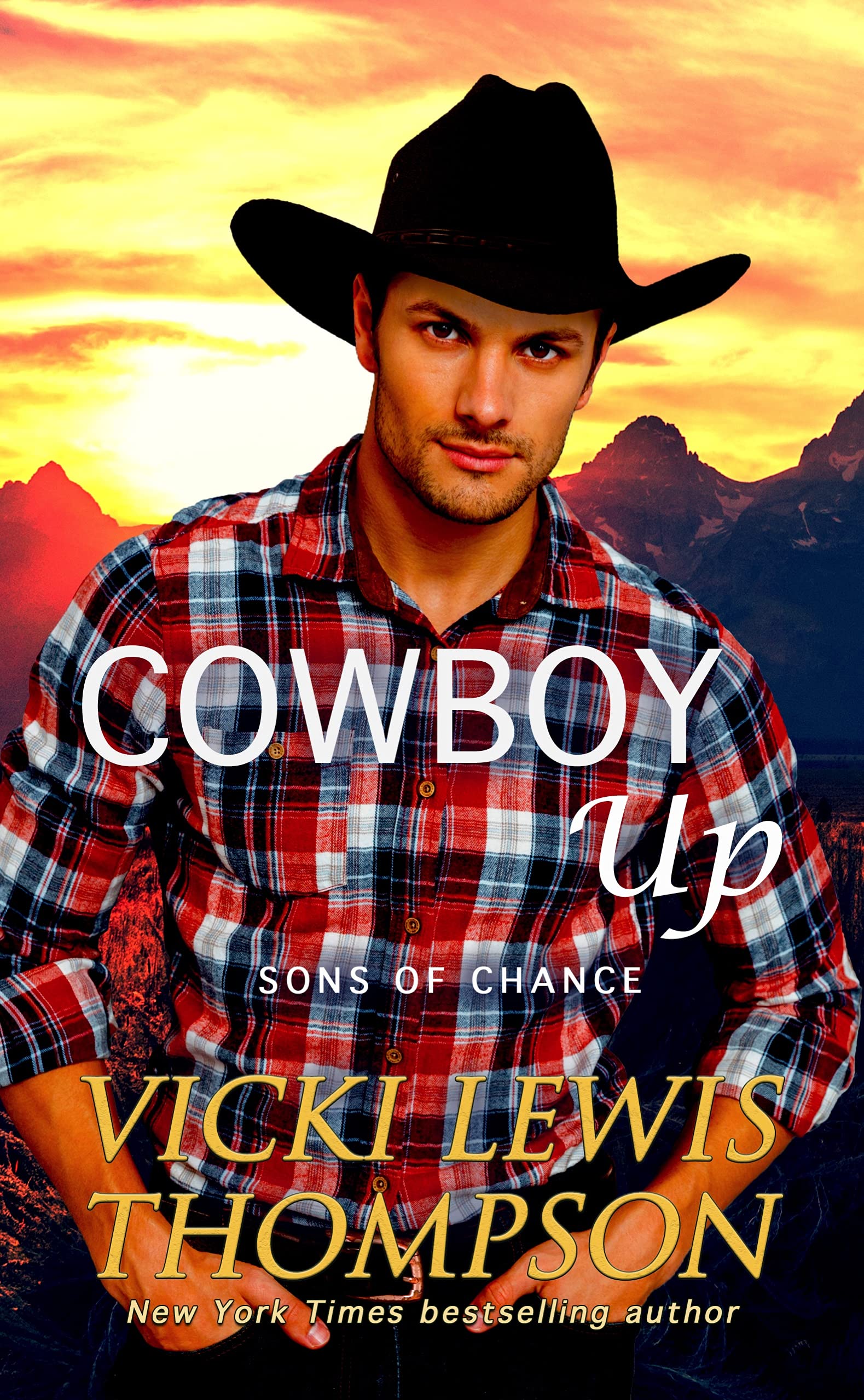 Cowboy Up (Sons of Chance #5)
