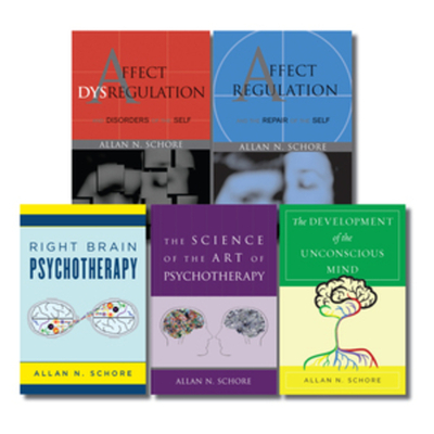 The Allan Schore Bookshelf: Five-book set (The Norton Series on Interpersonal Neurobiology)