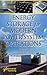Energy Storage for Modern Power System Operations