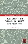 Financialisation in Emerging Economies (Routledge Critical Studies in Finance and Stability)