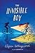 Invisible Boy