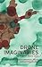 Drone imaginaries: The power of remote vision