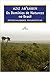 Os Domínios de Natureza no Brasil