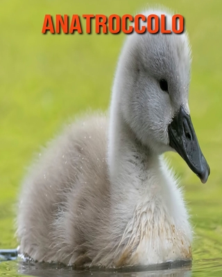 Anatroccolo: Immagini bellissime e fatti interessanti Libro per bambini sui Anatroccolo