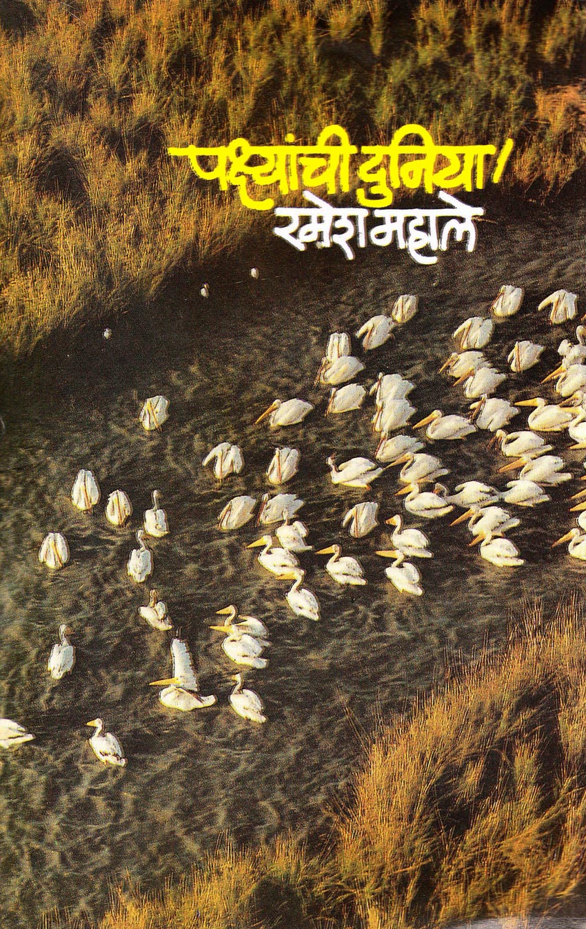 पक्ष्यांची दुनिया (Pakshyanchi Duniya)