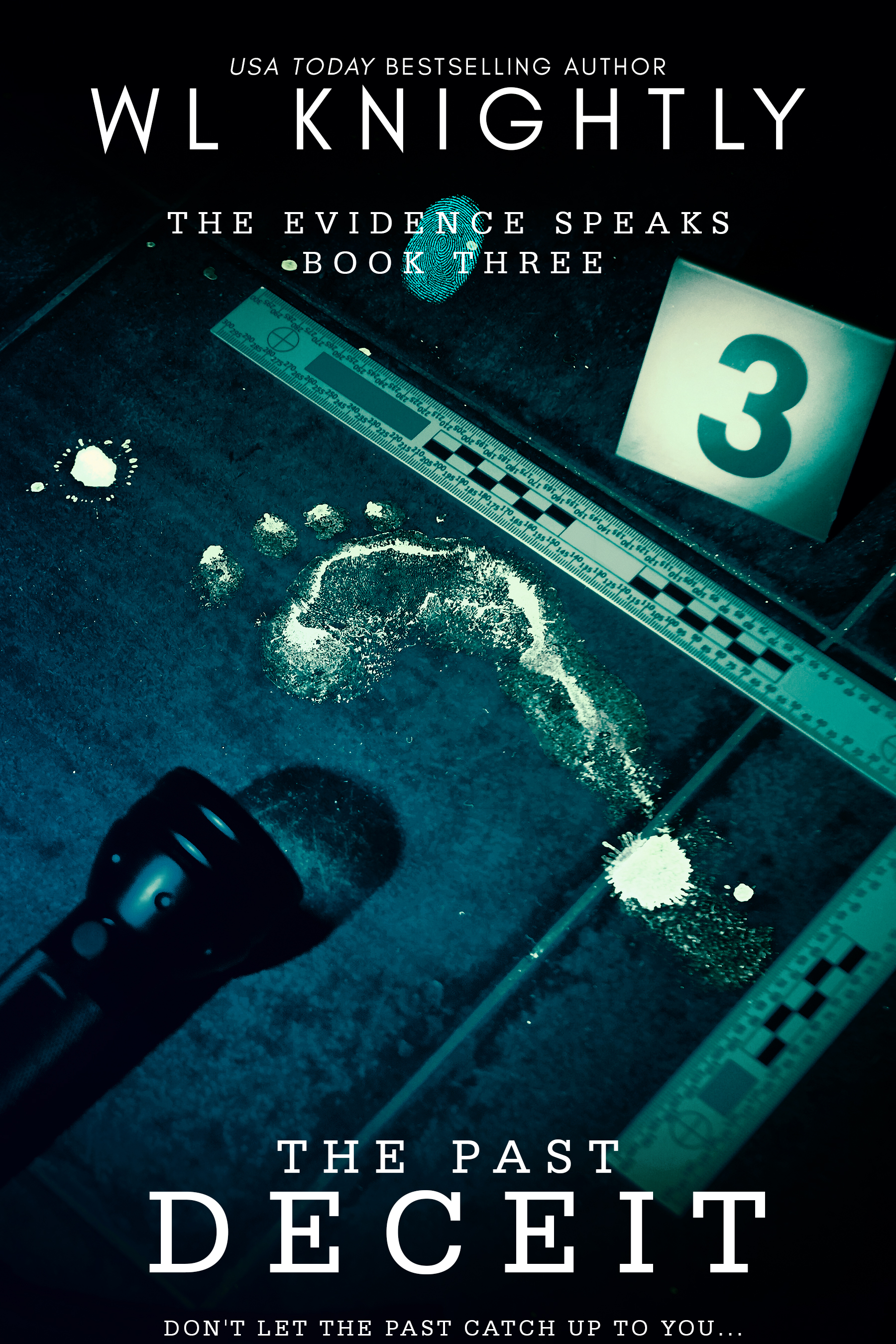 The Past Deceit (The Evidence Speaks #3)