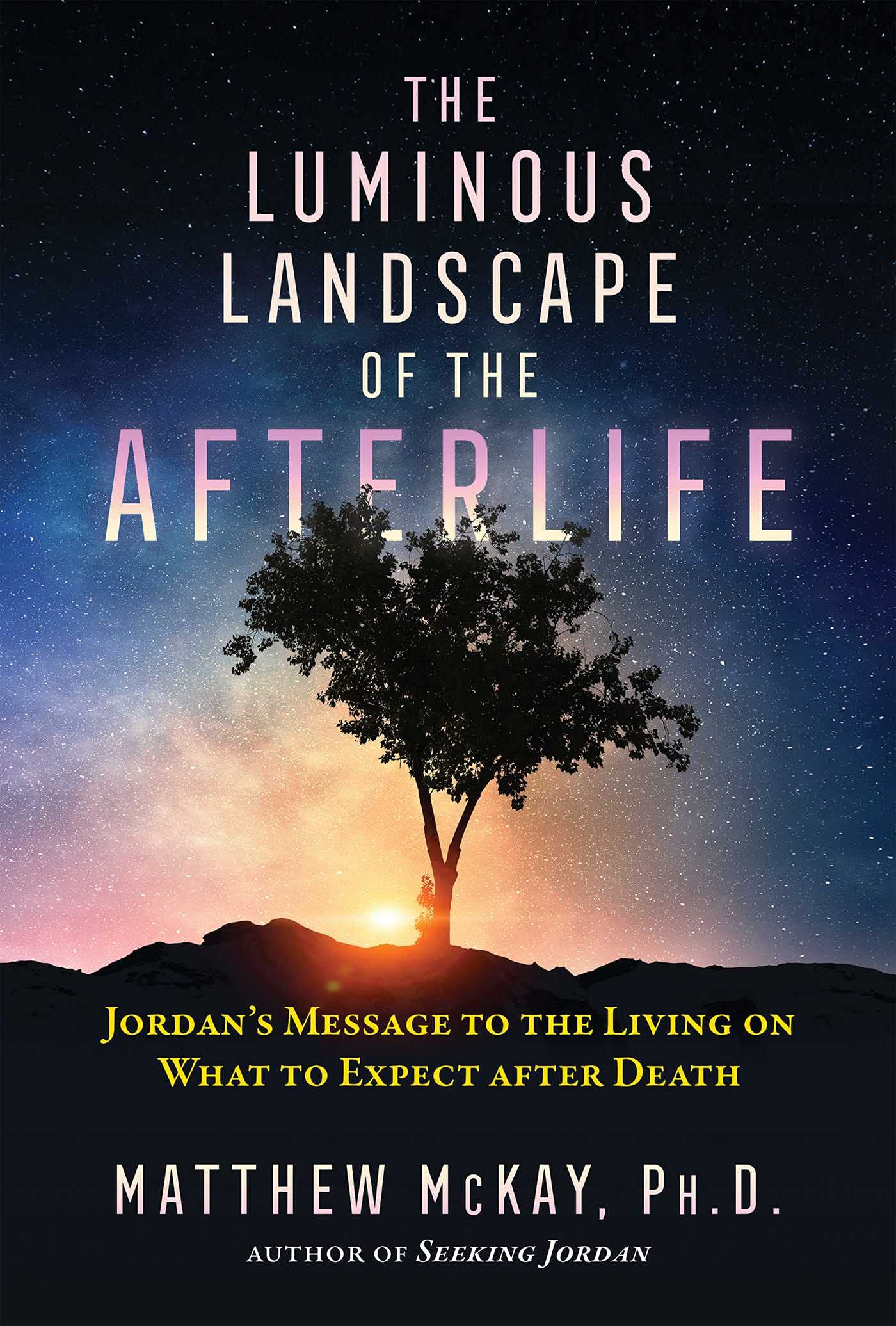 The Luminous Landscape of the Afterlife: Jordan's Message to the Living on What to Expect after Death (Kindle Edition)