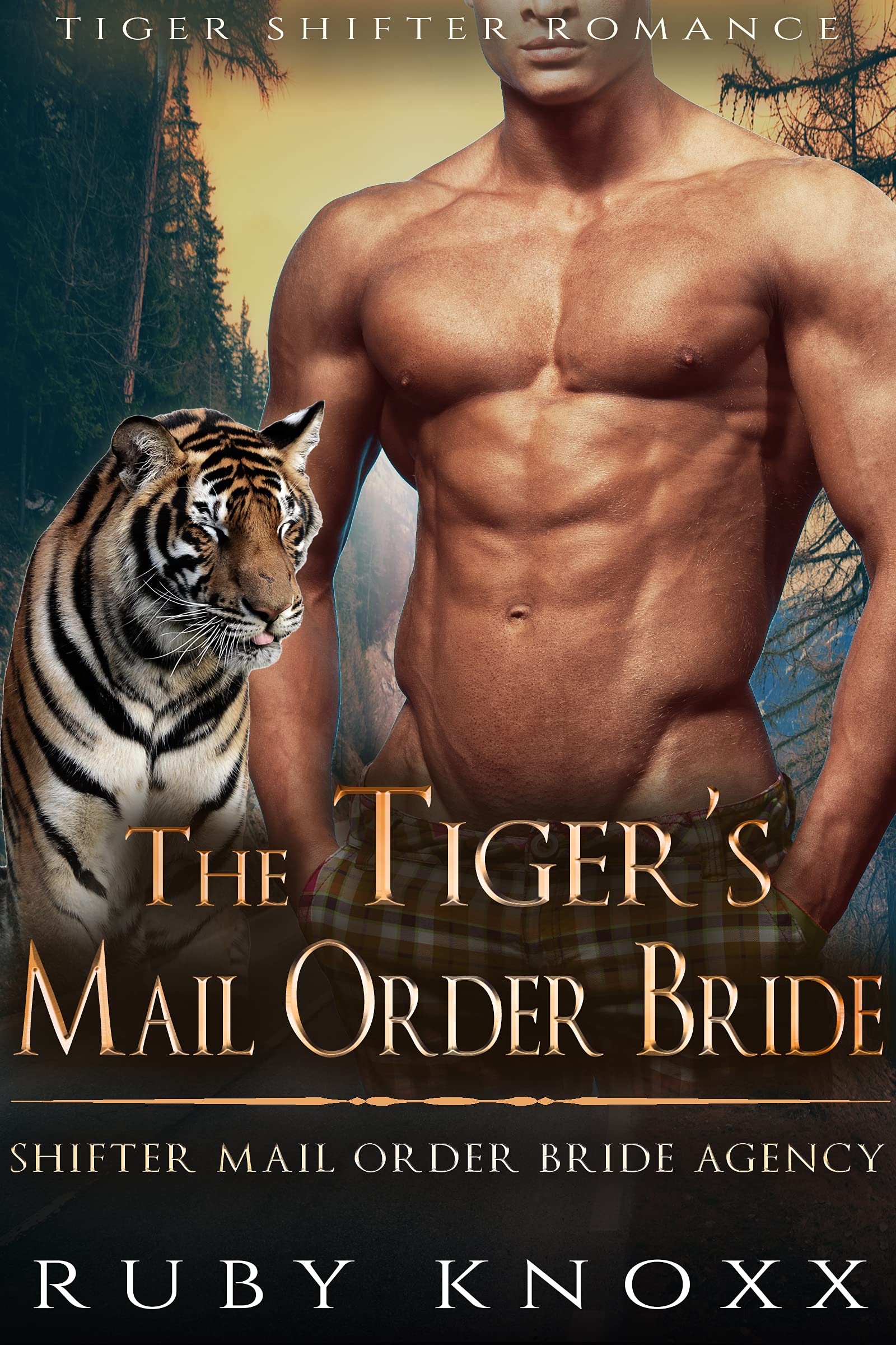 The Tiger’s Mail Order Bride (Shifter Mail Order Bride Agency #5)