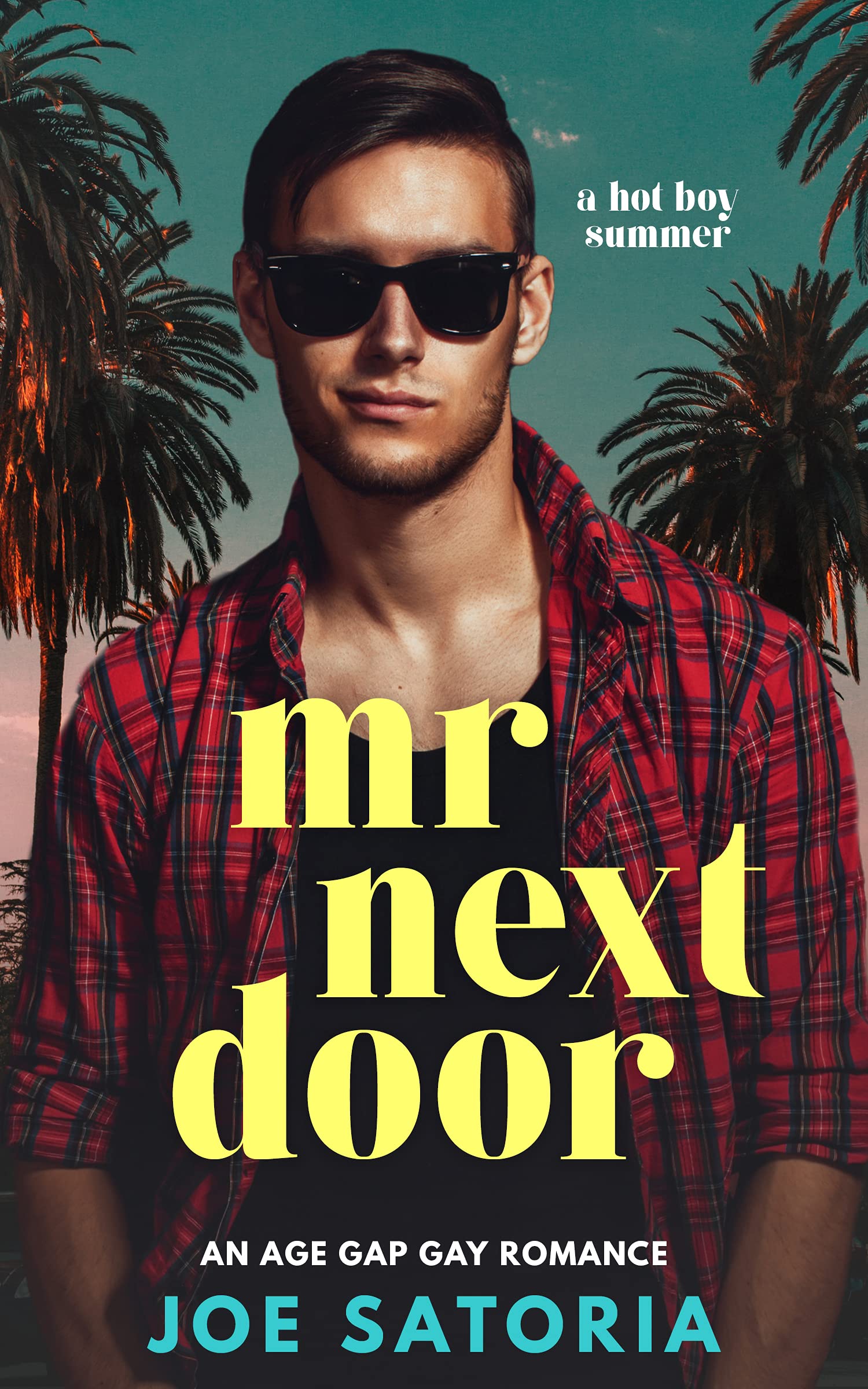 Mr Next Door (Hot Boy Summer)