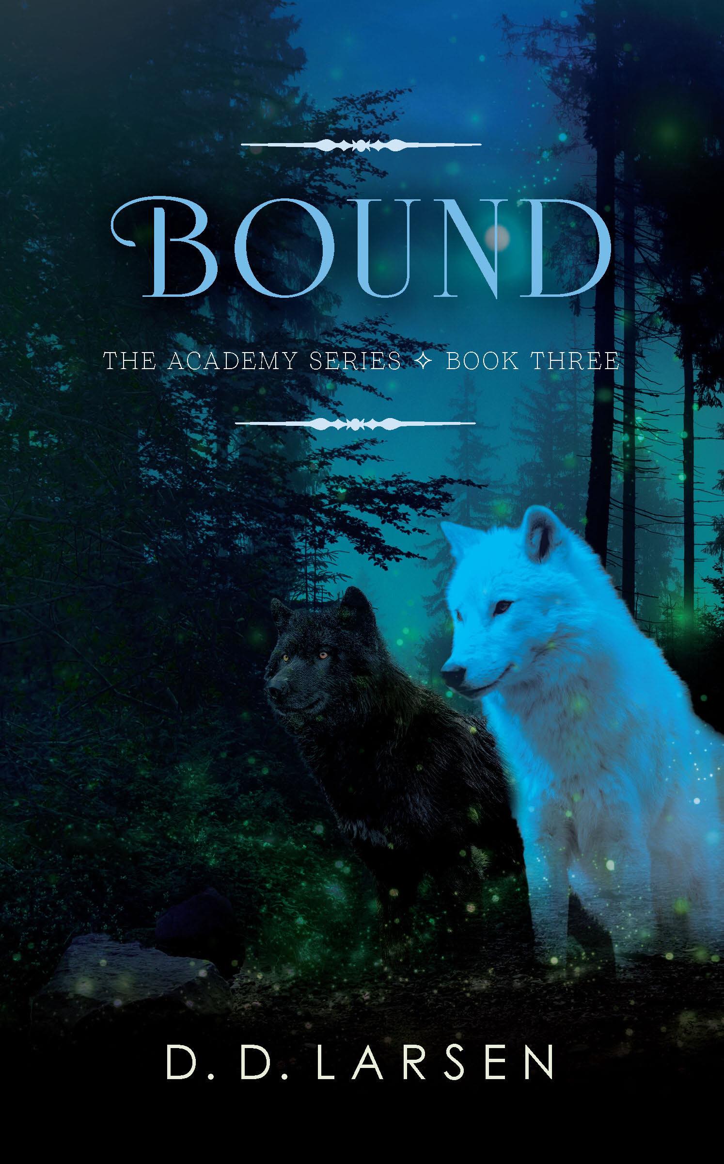 Bound (The Academy, #3)