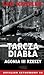 Tarcza diabła. Agonia III Rzeszy