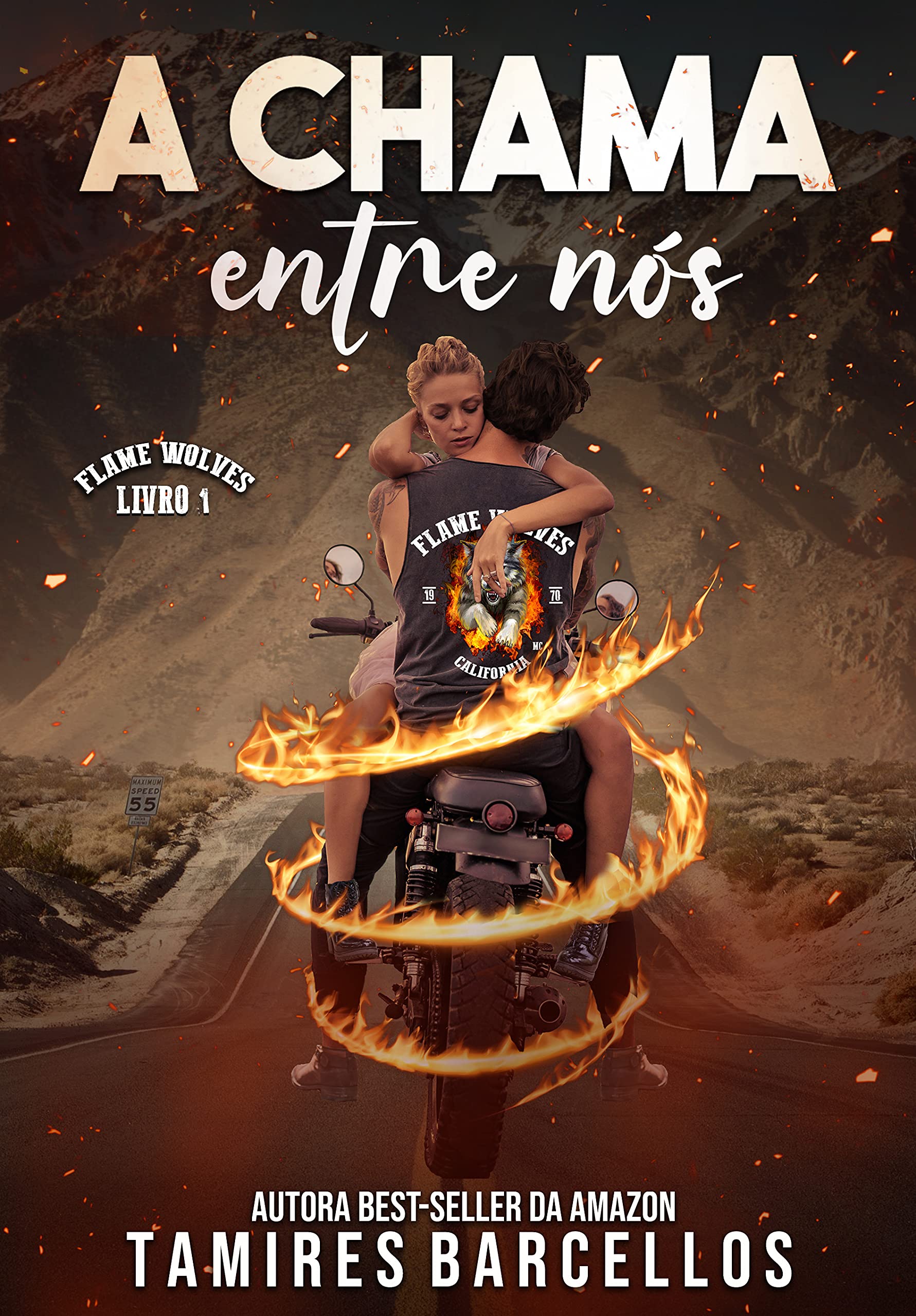 A Chama entre Nós (Flame Wolves MC, #1)